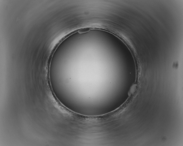 X0000113200944200909241355