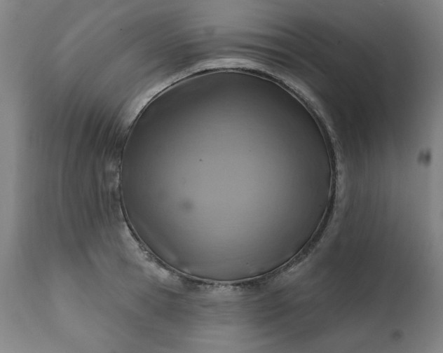 X0000113200945200909241355