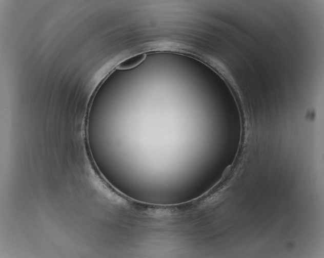 X0000113200946200909241355