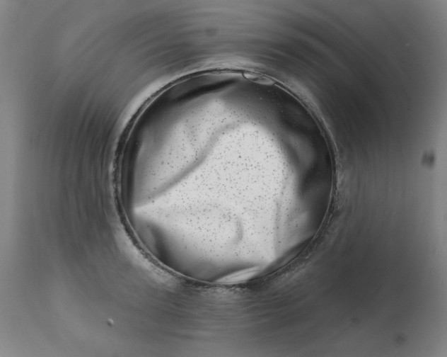 X0000113200947200909241355