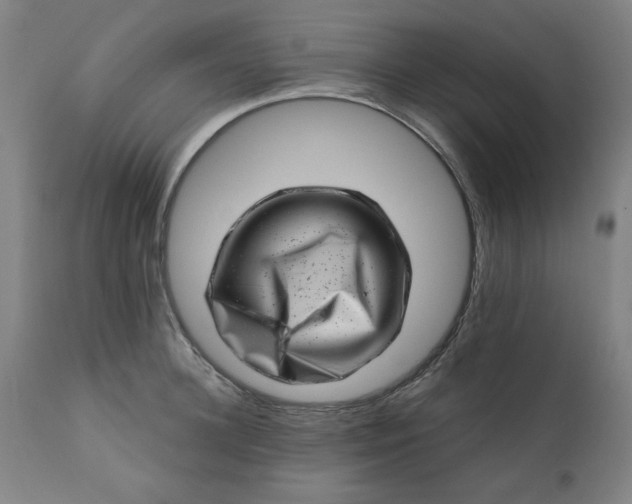 X0000113200948200909241355