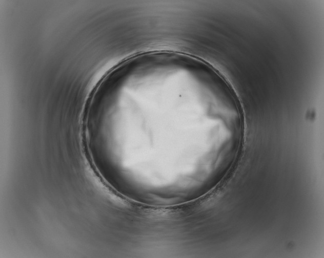 X0000113200949200909241355