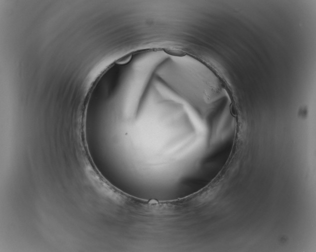 X0000113200952200909241355