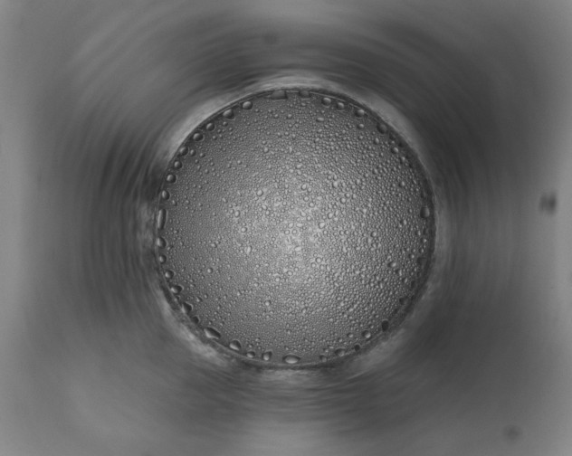 X0000113200953200909241355