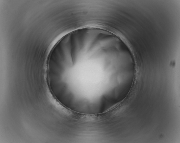 X0000113200955200909241355