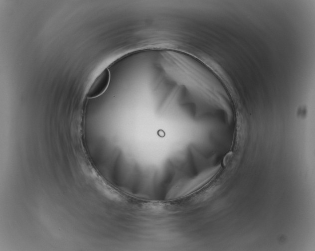 X0000113200956200909241355