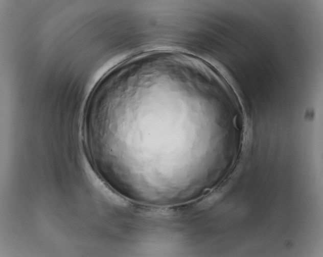 X0000113200957200909241355