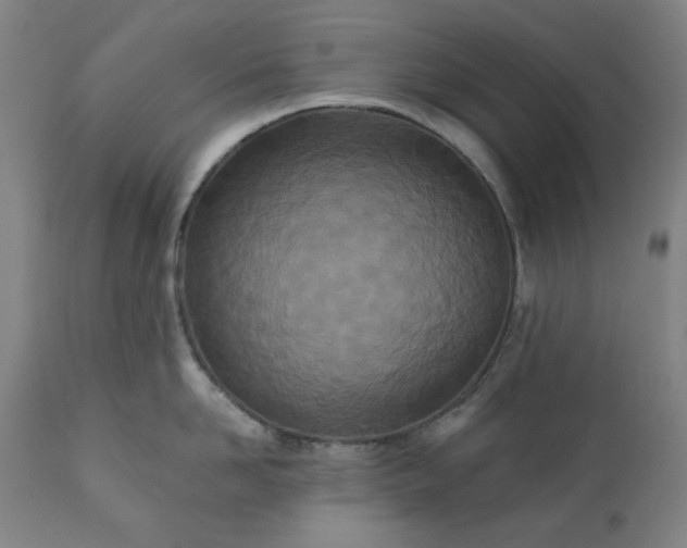 X0000113200958200909241355