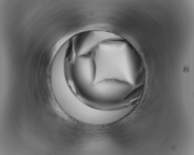 X0000113200960200909241355