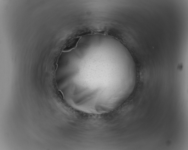 X0000113200961200909241355