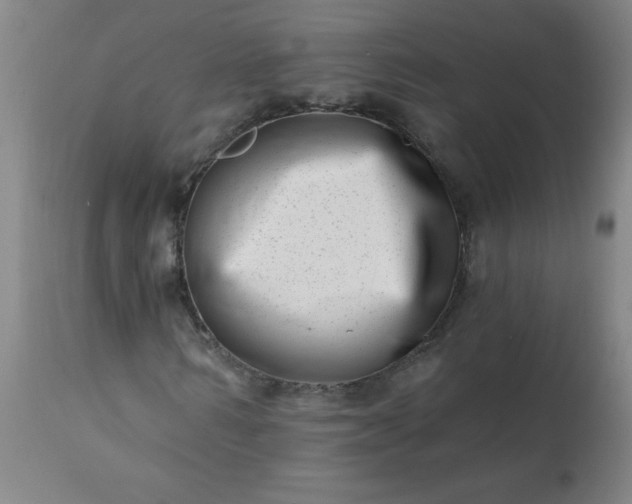 X0000113200962200909241355