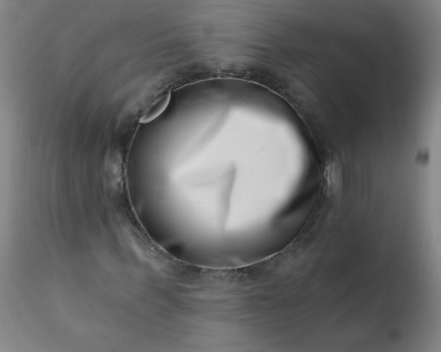 X0000113200963200909241355