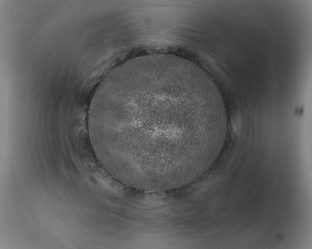 X0000113200964200909241355