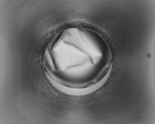 X0000113200965200909241355