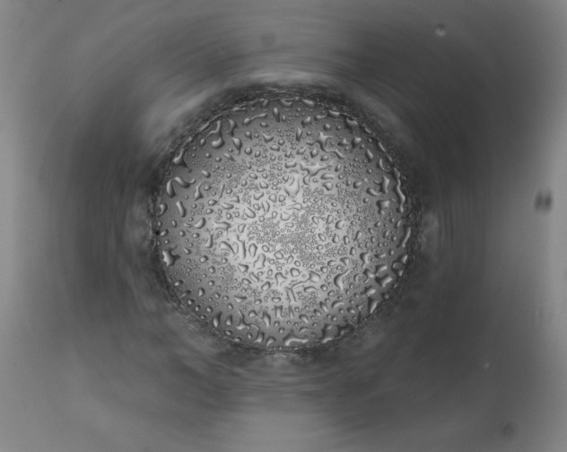 X0000113200966200909241355