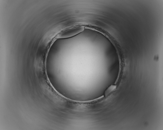 X0000113200969200909241355