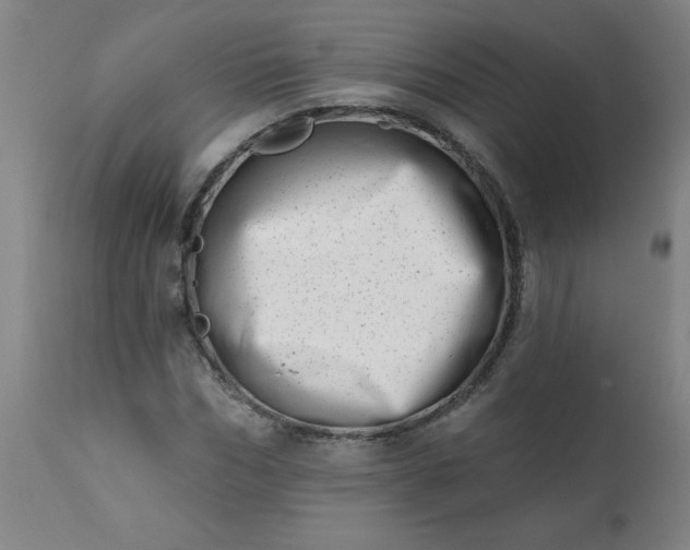 X0000113200970200909241355