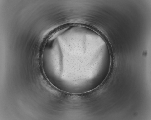 X0000113200971200909241355