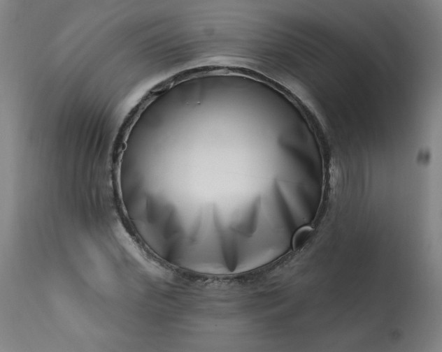 X0000113200972200909241355