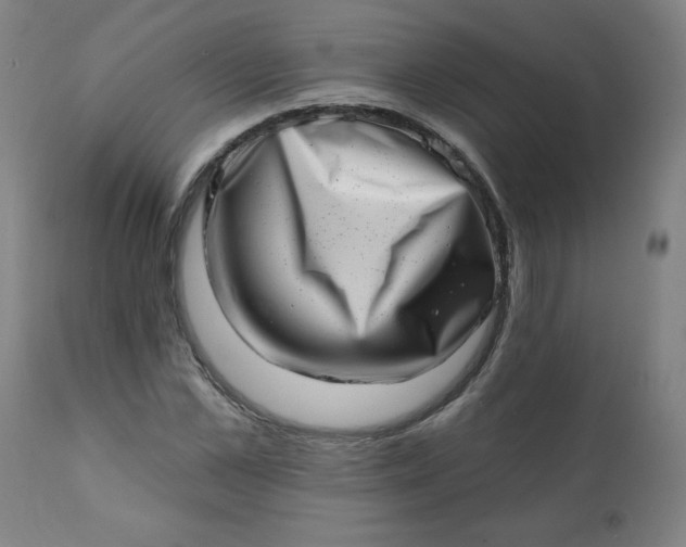 X0000113200973200909241355