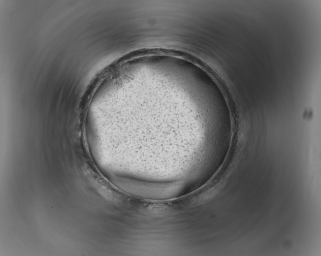 X0000113200974200909241355