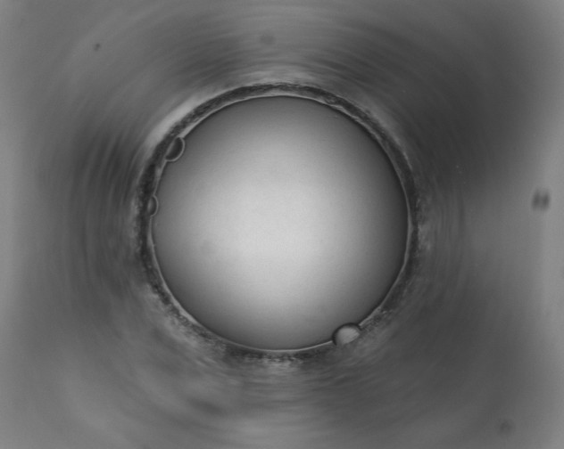 X0000113200975200909241355