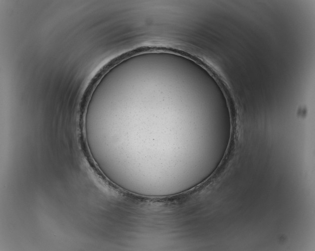 X0000113200976200909241355