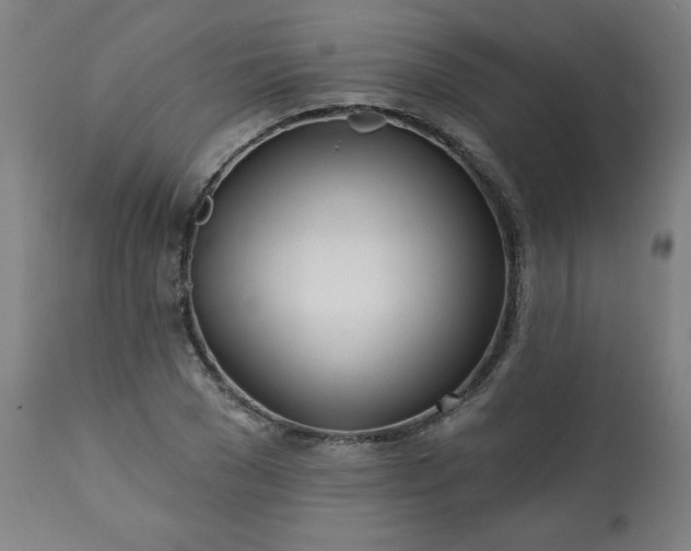 X0000113200977200909241355