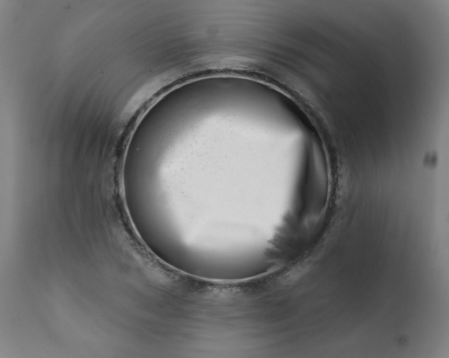 X0000113200978200909241355