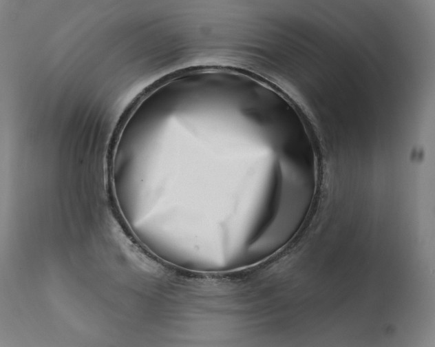 X0000113200980200909241355