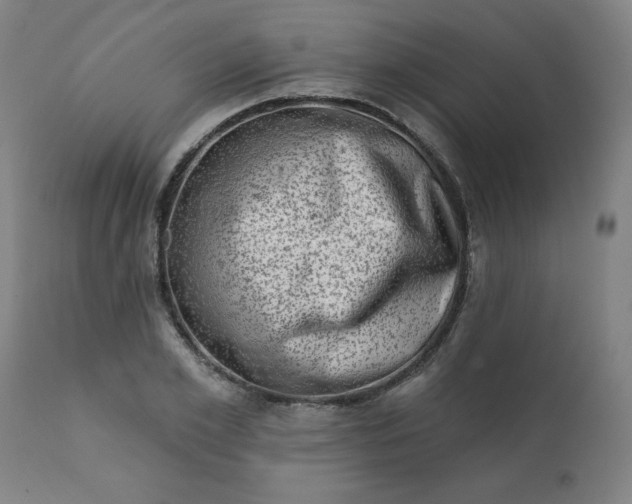 X0000113200981200909241355