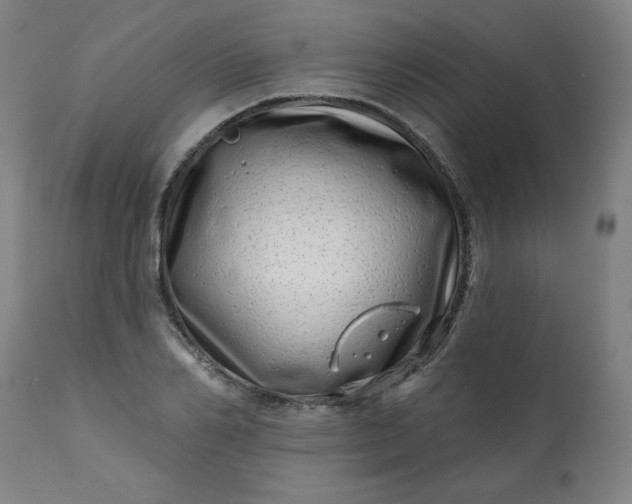 X0000113200982200909241355