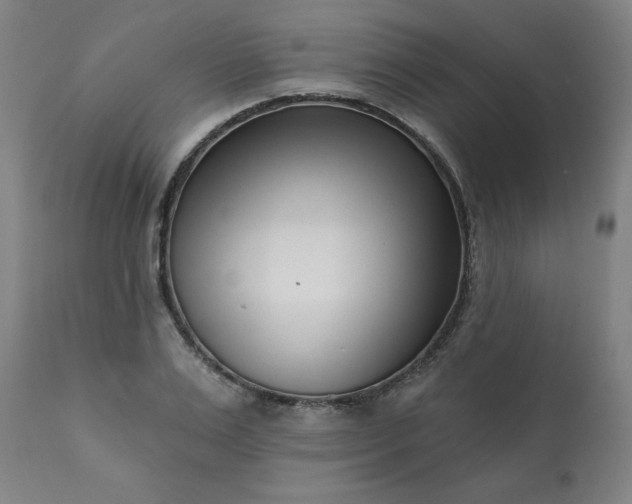 X0000113200983200909241354