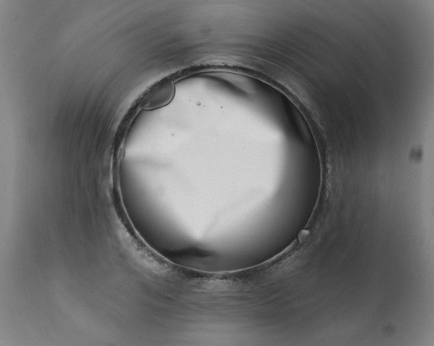 X0000113200984200909241354