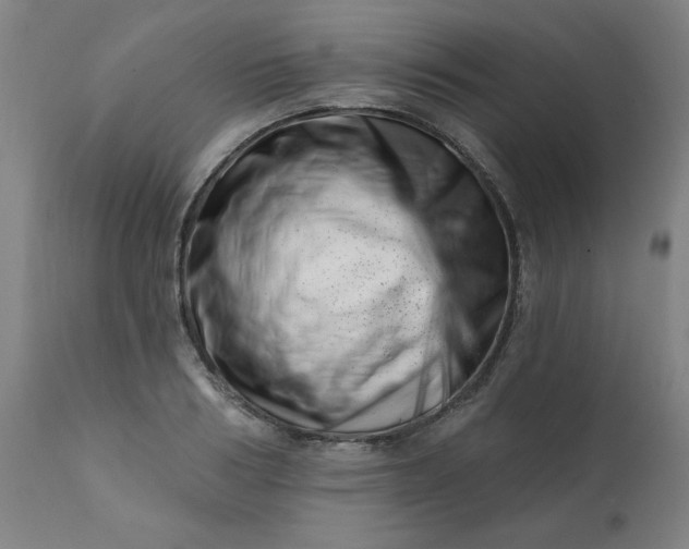 X0000113200986200909241354