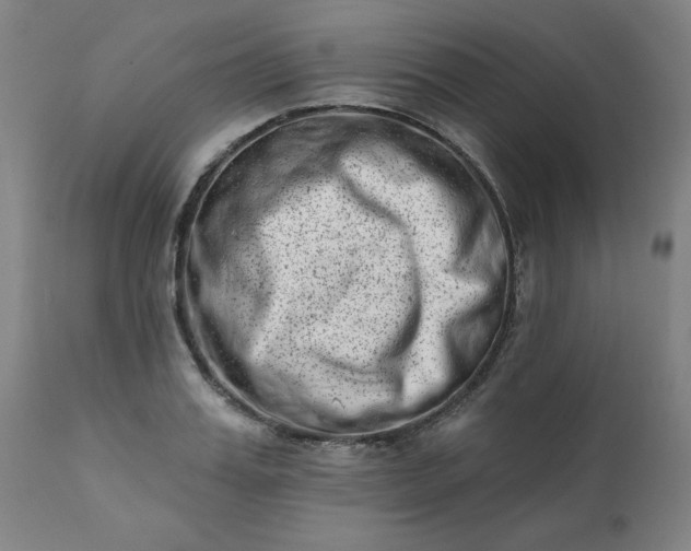 X0000113200987200909241354