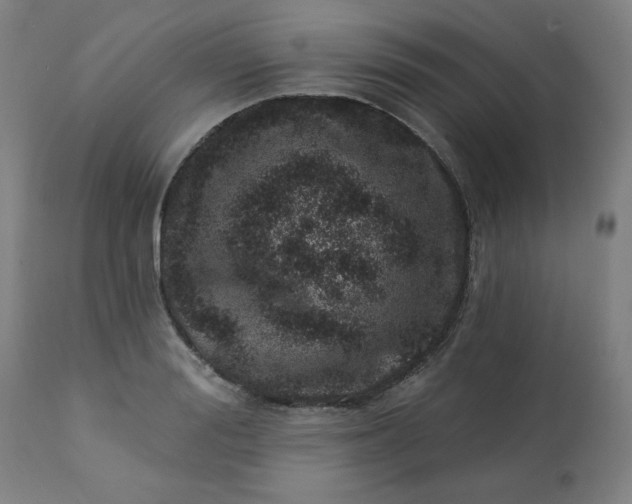 X0000113200988200909241354