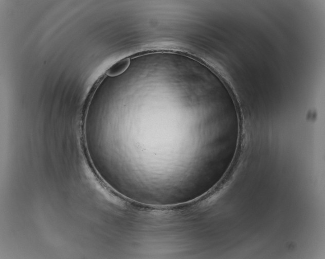 X0000113200989200909241354