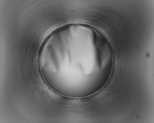 X0000113200990200909241354