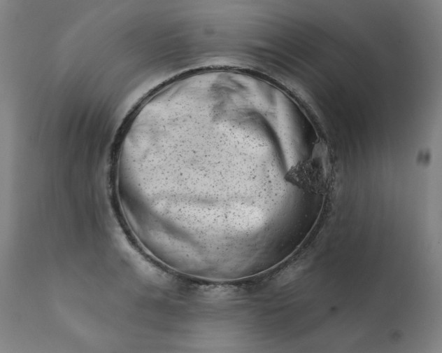 X0000113200991200909241354