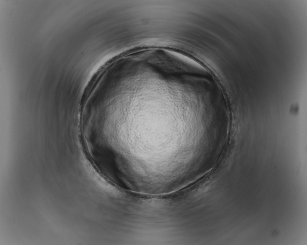 X0000113200992200909241354