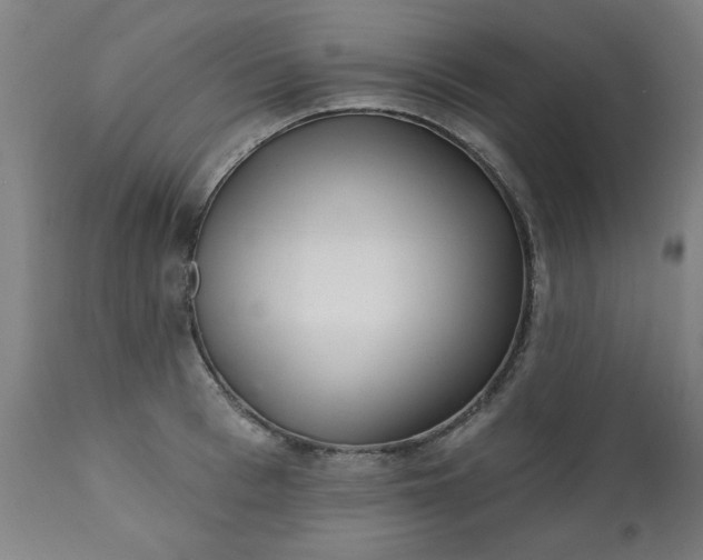 X0000113200993200909241354