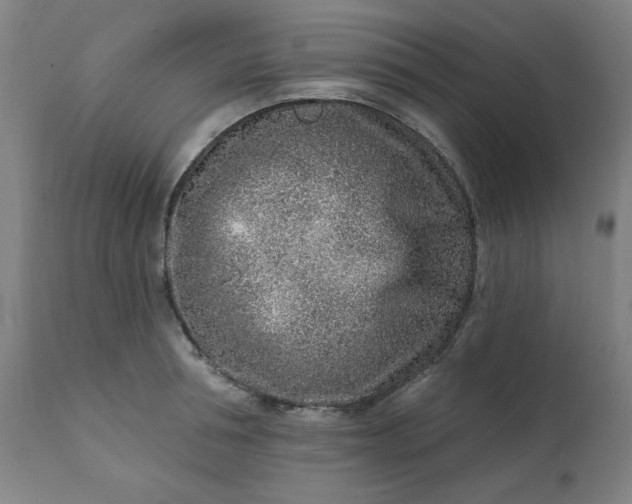 X0000113200994200909241354