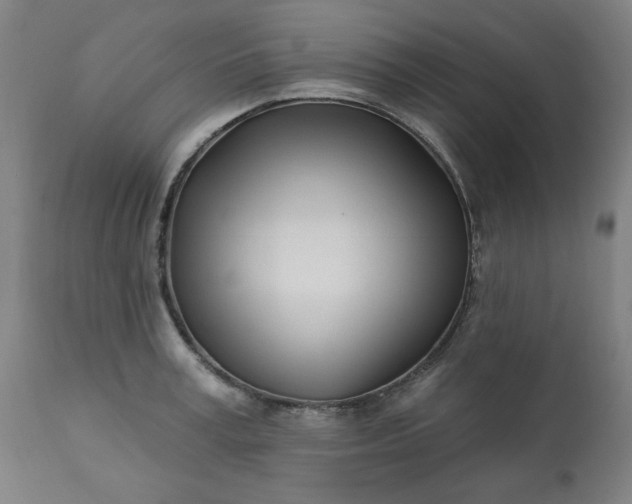 X0000113200995200909241354