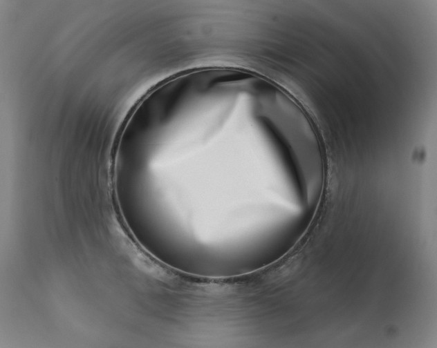 X0000113200996200909241354