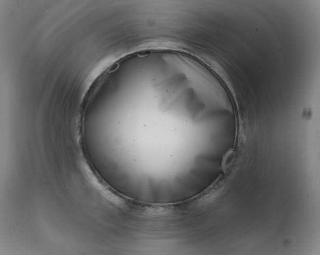 X0000113200997200909241354