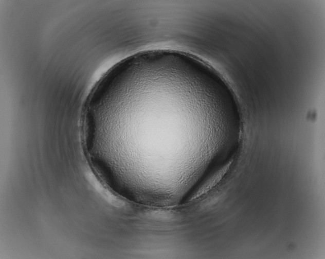 X0000113200998200909241354