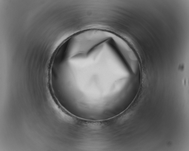 X0000113200999200909241354