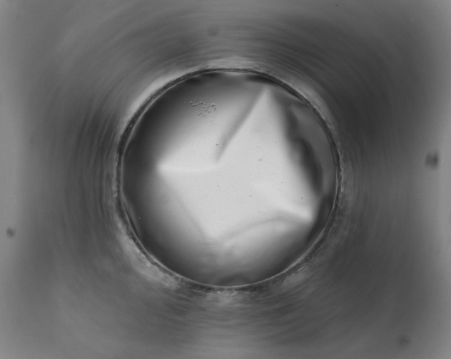 X0000113201000200909241354