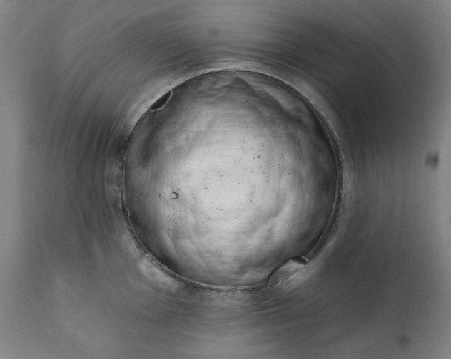 X0000113201001200909241354